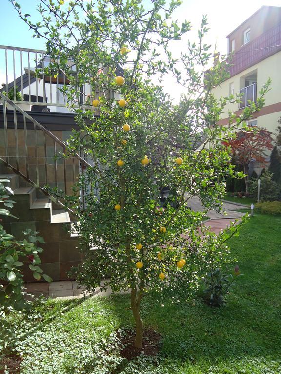 Apartment Spectre Zagreb Ngoại thất bức ảnh